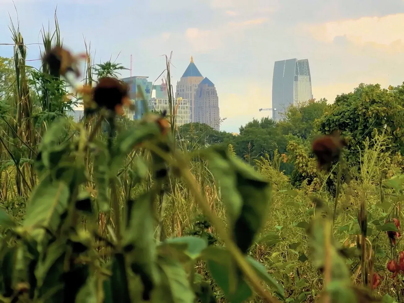 Beltline Rail IV: The Great Urban Gamble